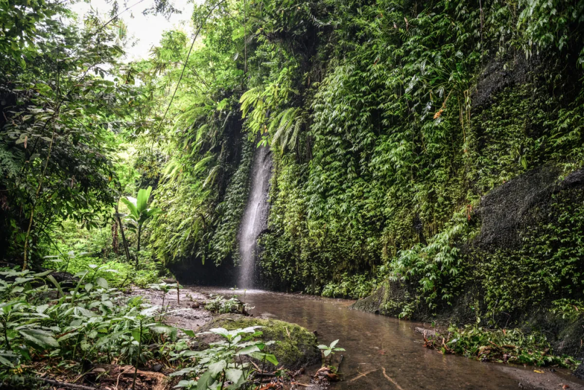 شلال توكاد سيبونج