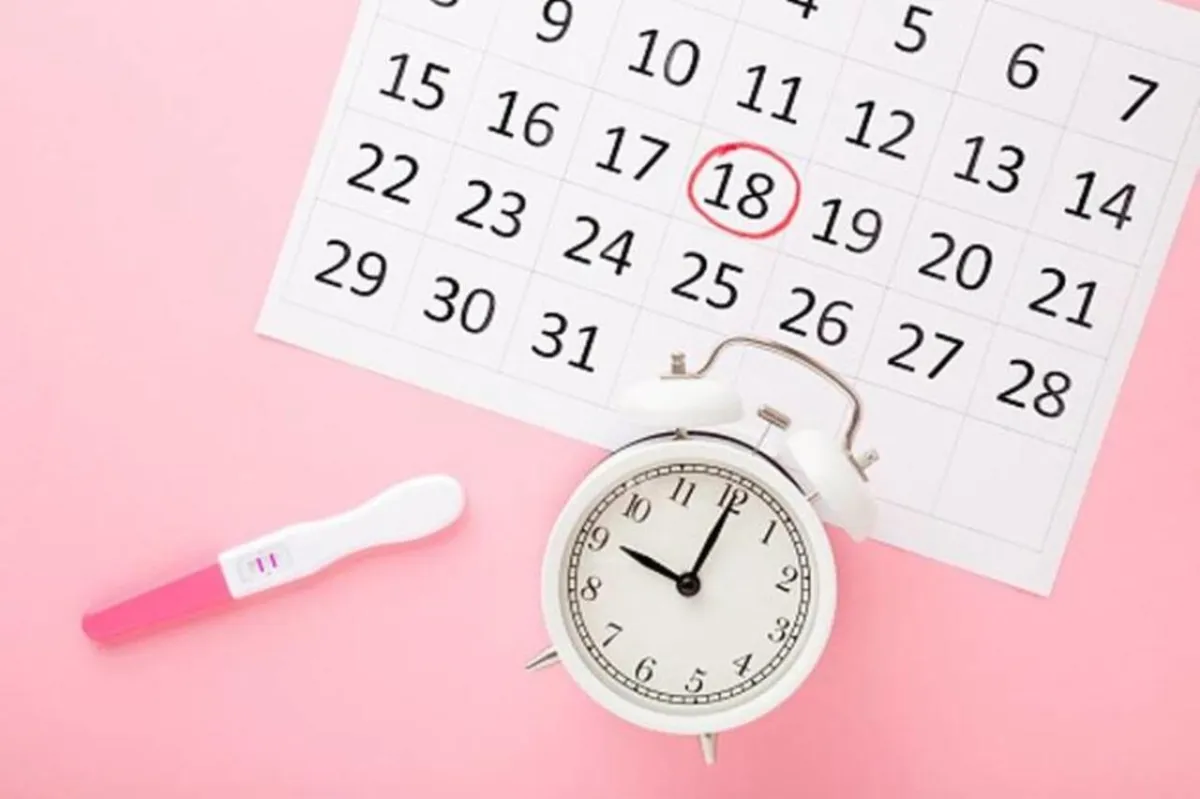 صورة تعبر عن تاريخ متوقع لحدوث الحمل