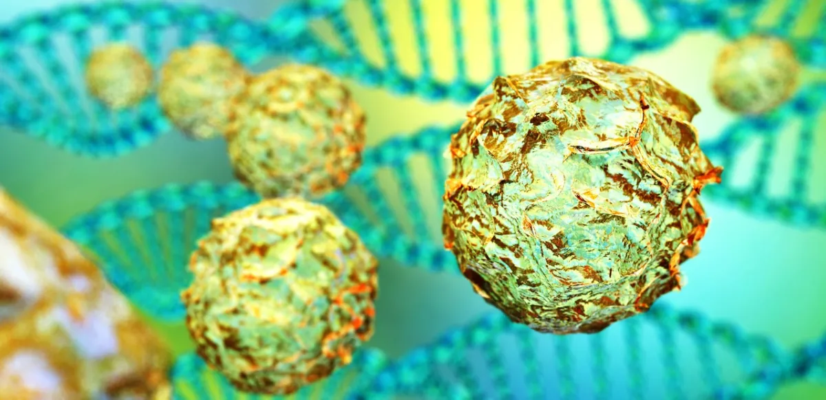 صورة الخلايا الجذعية