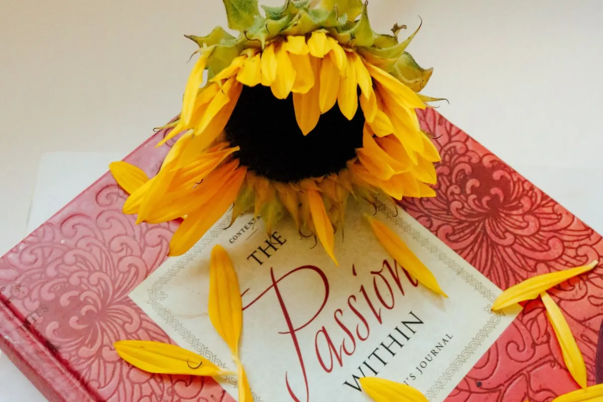 عبارات عن الحب قصيرة