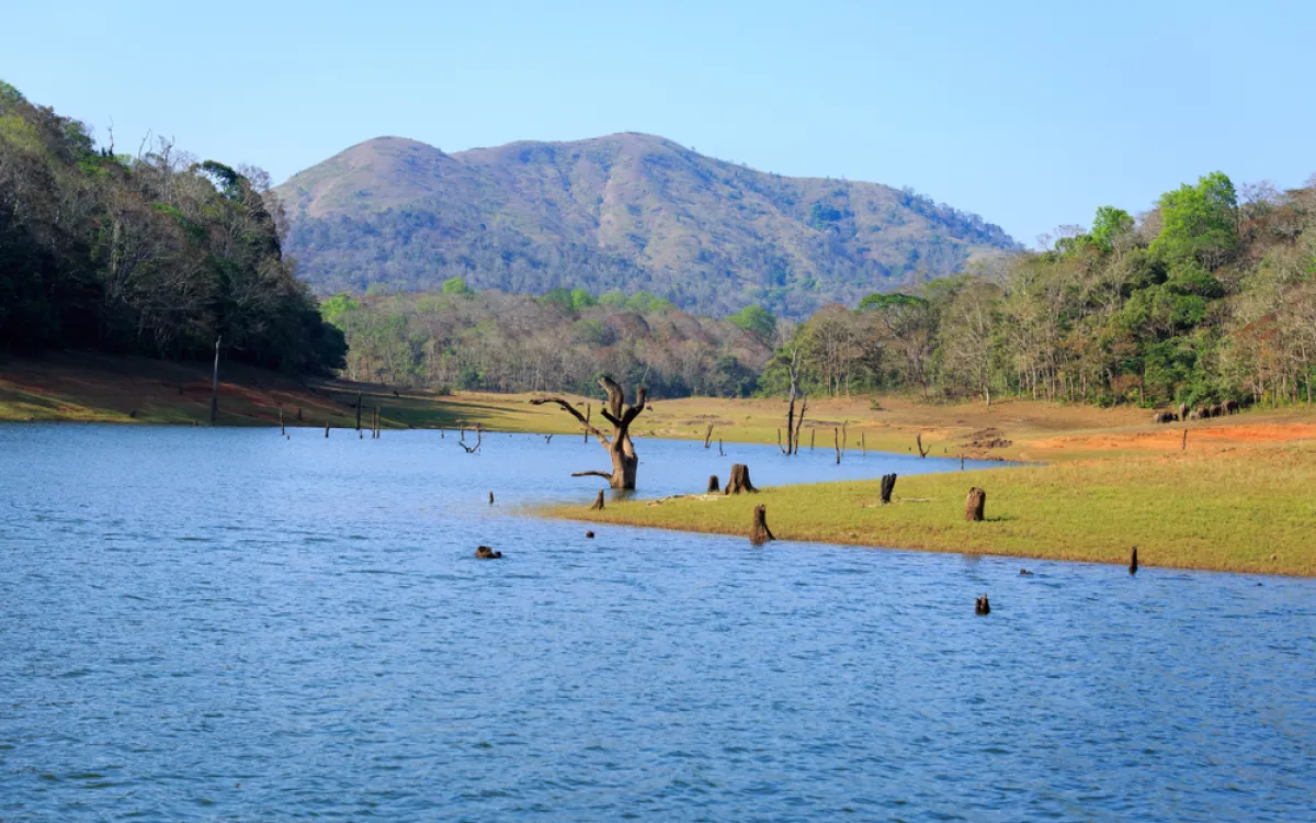 مدينة تيكادي في الهند