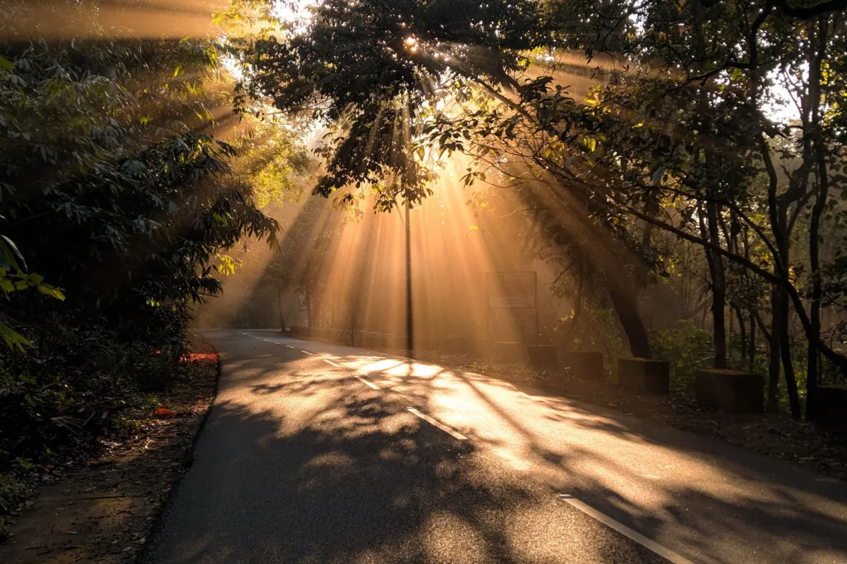 أجمل عبارات صباحية