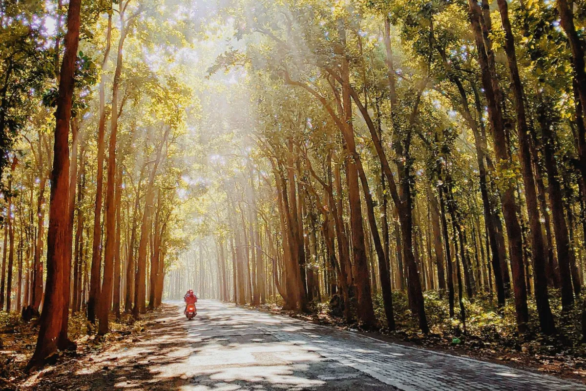 أجمل عبارات صباحية