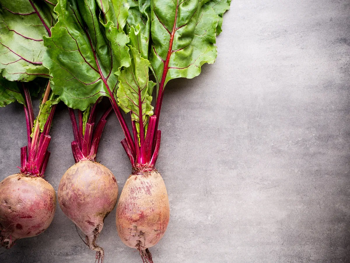 صورة للشمندر