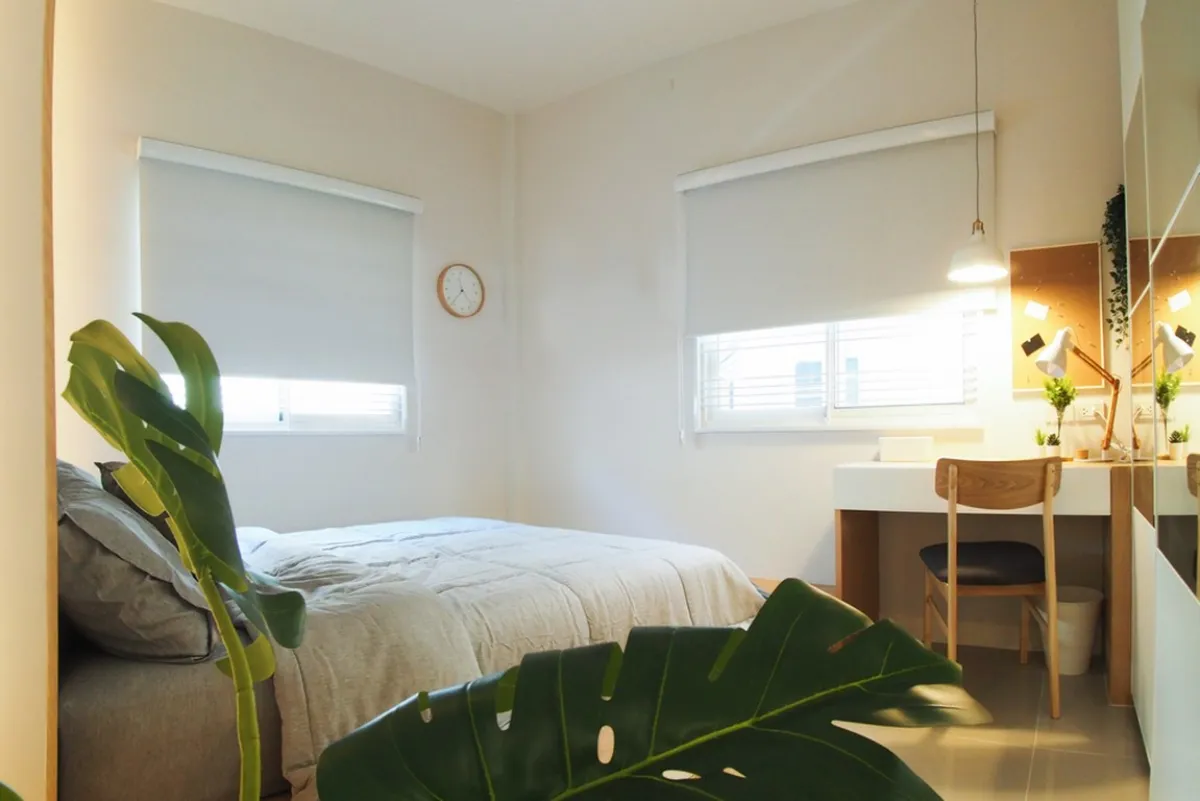 حضور النباتات الطبيعية في الغرفة