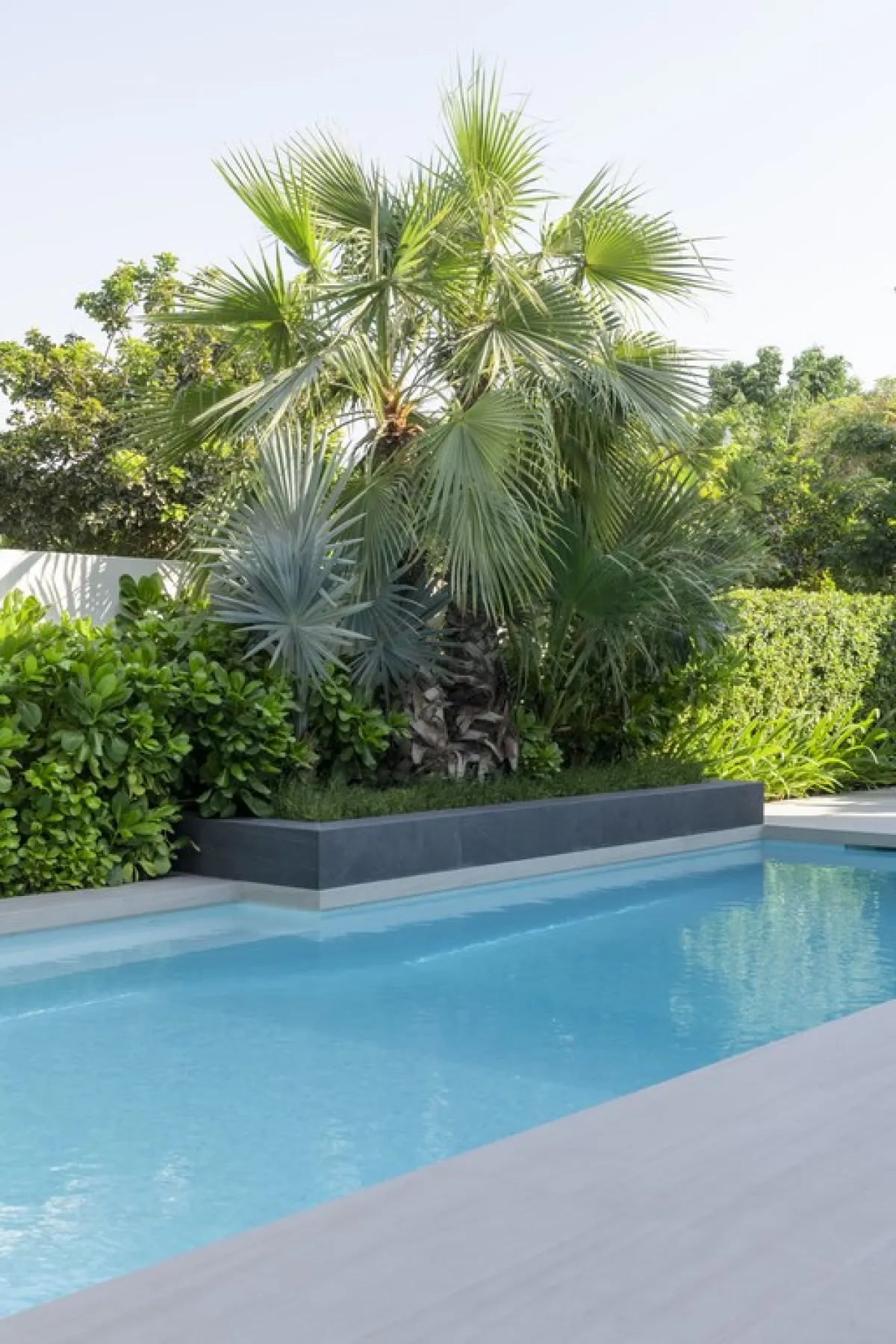 قد تتبع الحديقة المنزلية الاتجاهات السائدة