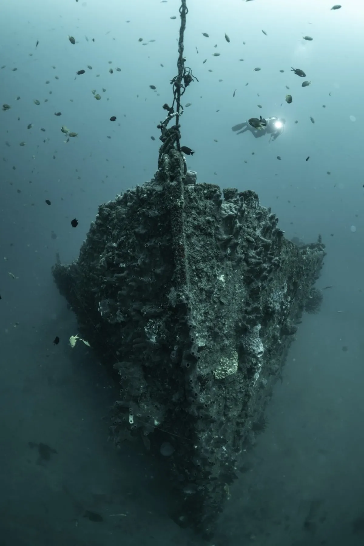 فقدان غواصة سياحية أثناء رحلتها لمشاهدة حطام تايتنك