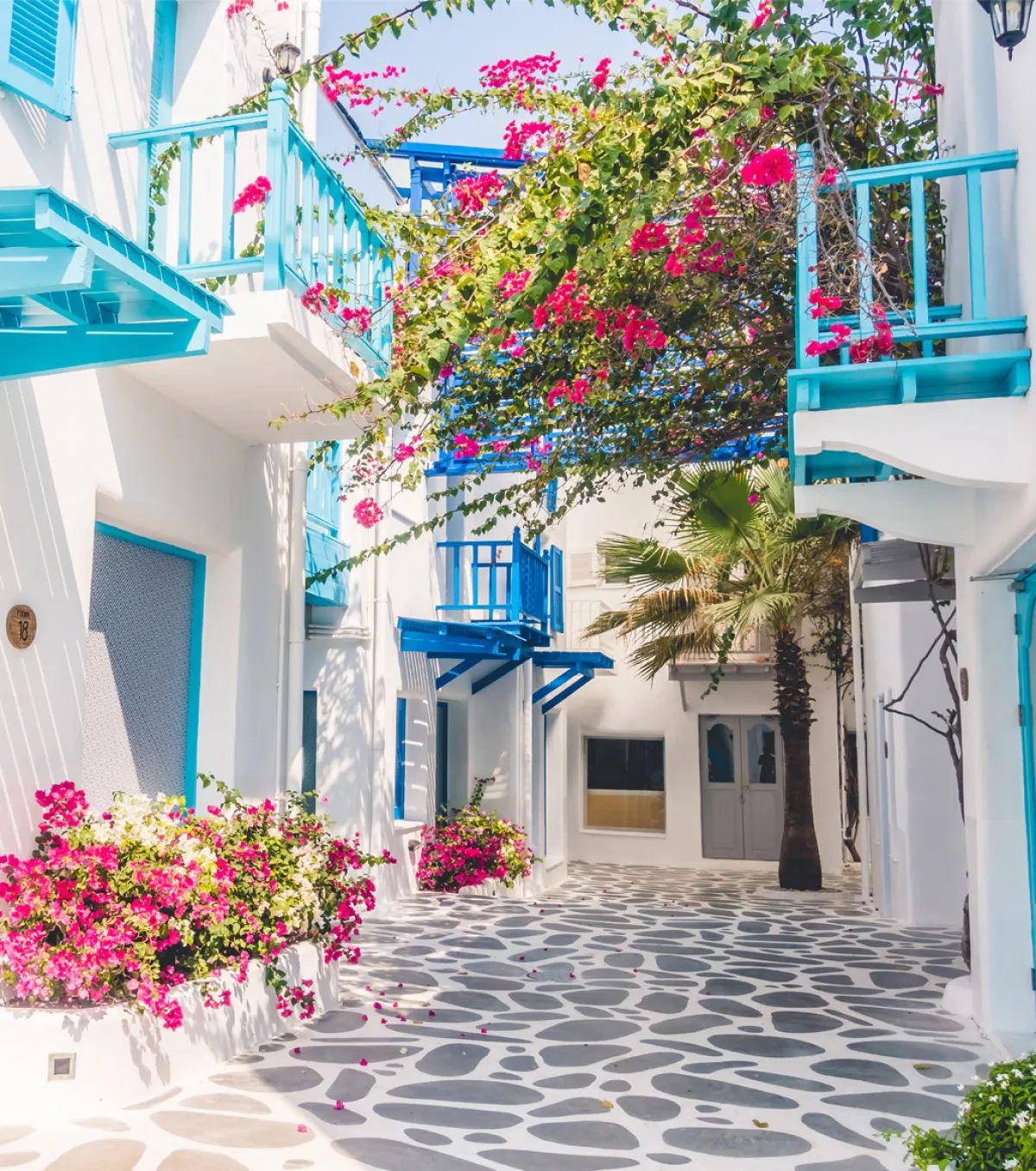 لقطة لأحد شوارع «سانتوريني»