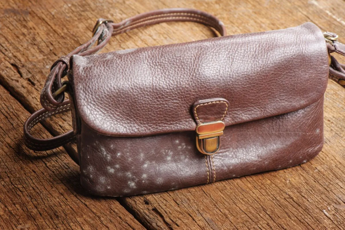 الحقيبة الجلدية المتعفنة