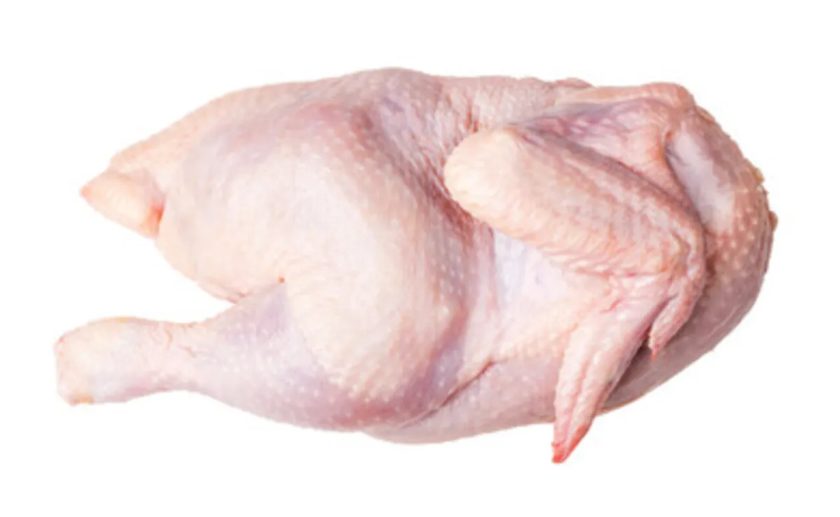 صورة لدجاجة كمصدر للبروتين الحيواني
