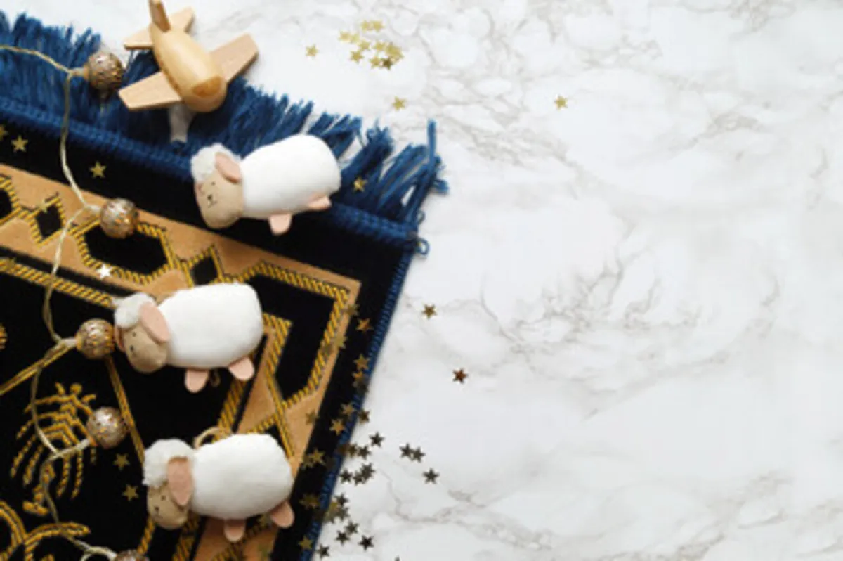 صورة لحبل من توزيعات العيدية