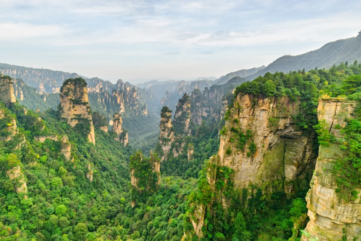 حديقة تشانغجياجيه الوطنية للغابات