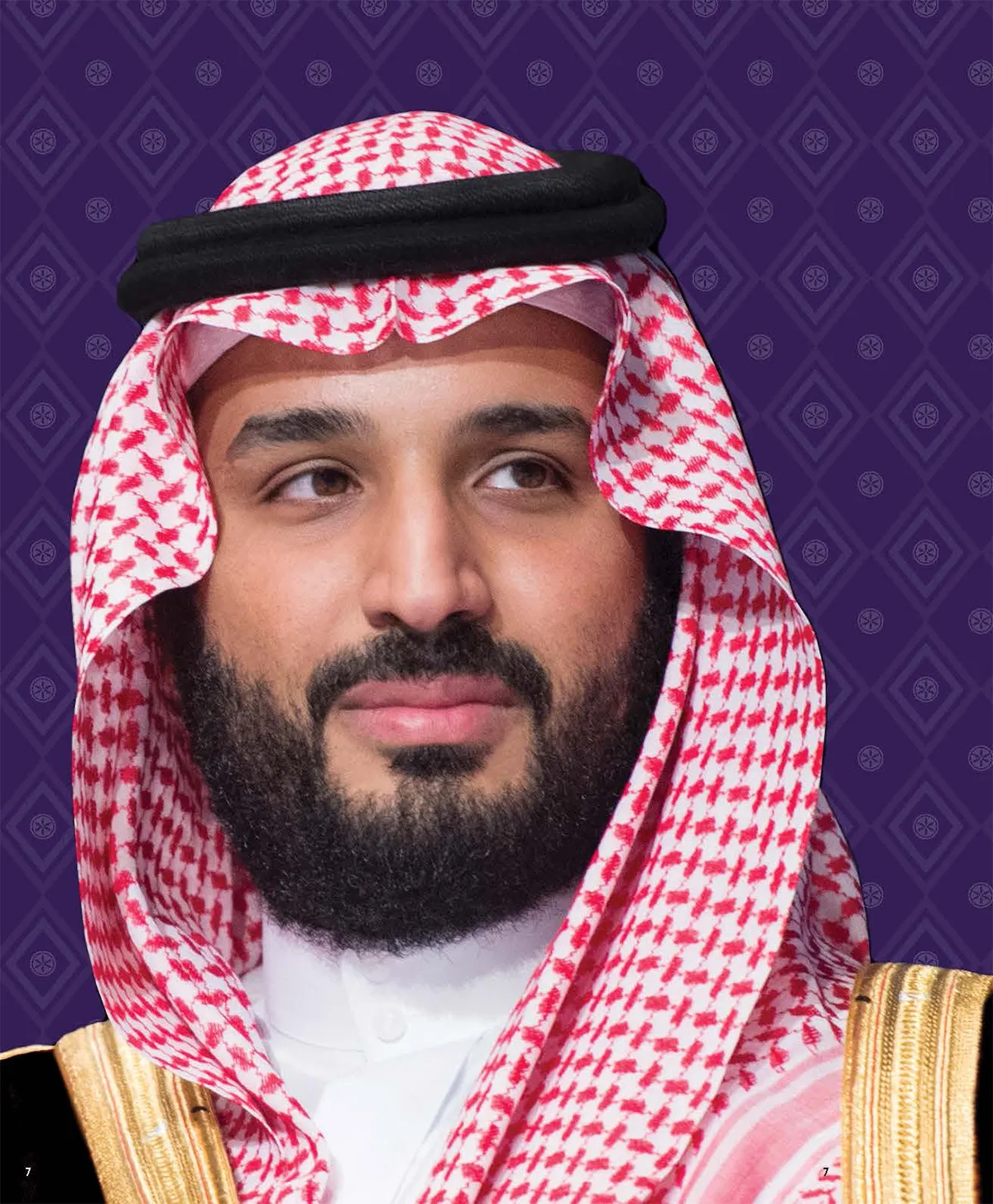 ولي العهد الأمير محمد بن سلمان بن عبد العزيز آل سعود