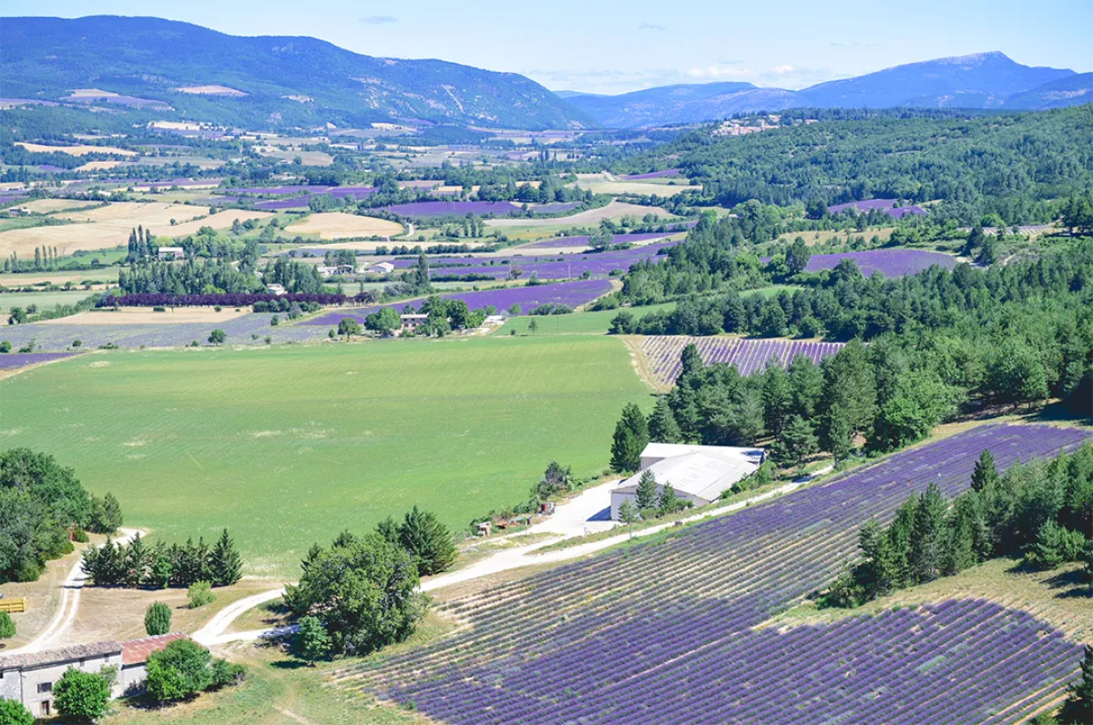 إطلالة على «آكس أون بروفانس»