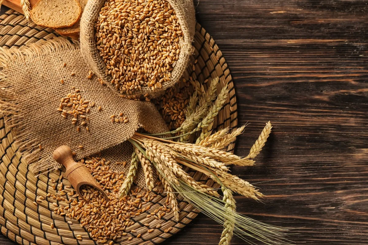 صورة للشعير