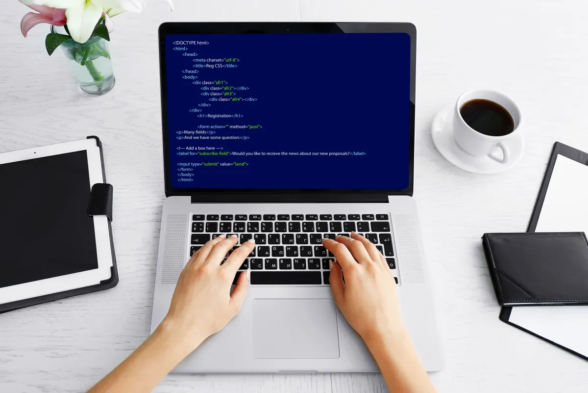 برامج التوظيف