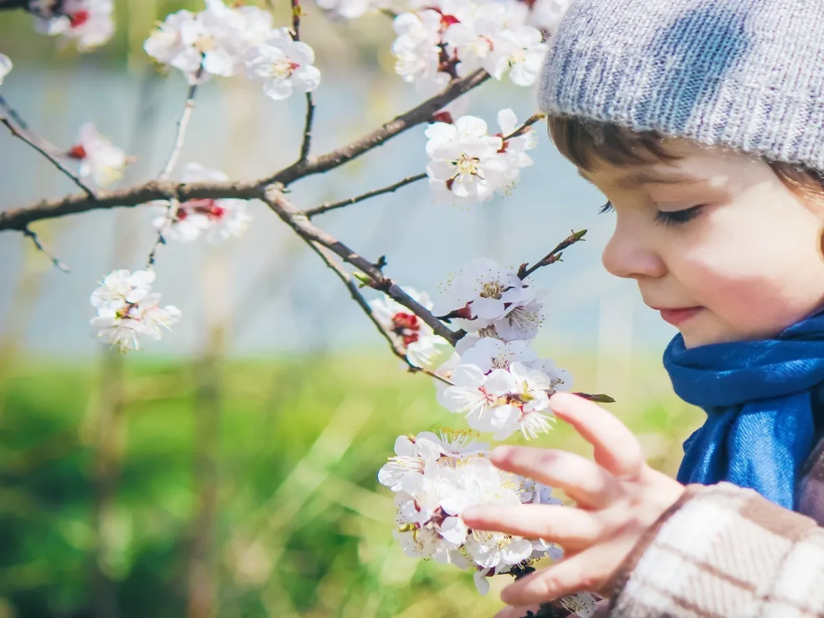 صورة لطفل يقطف الزهور