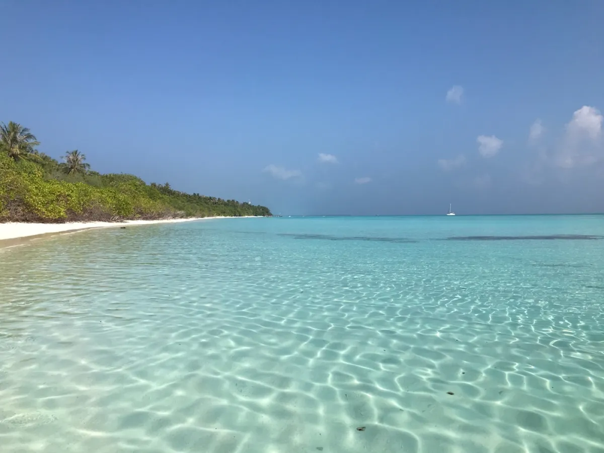 جزيرة فولهادو