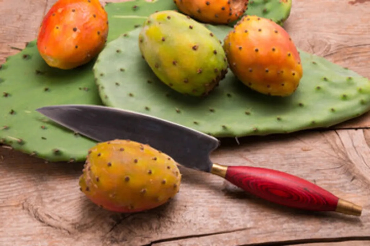 صورة لثمار التين الشوكي الشهية