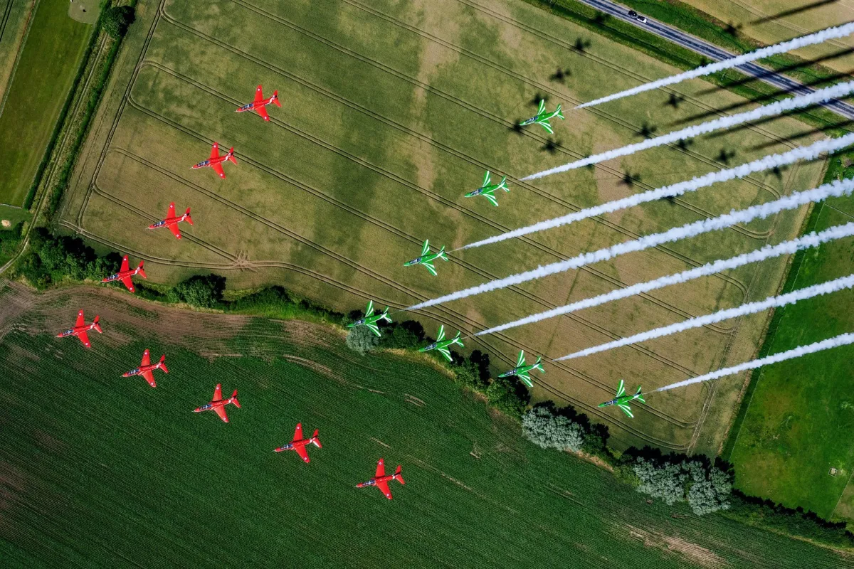 الصقور السعودية