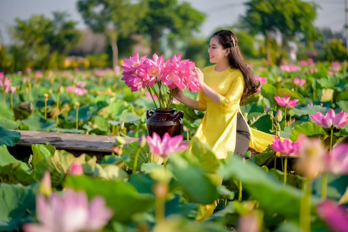 صورة الزنبق الأسيوي