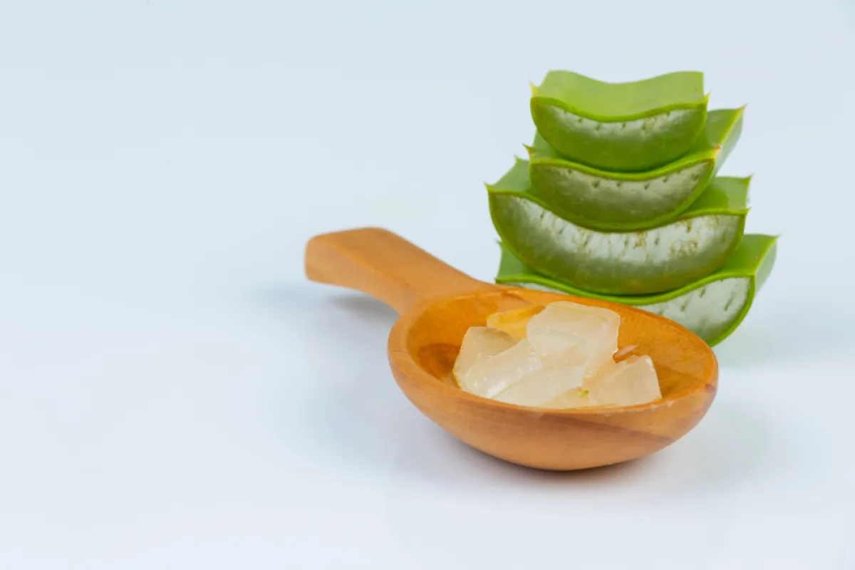 الصبار علاج للقشرة- المصدر freepik