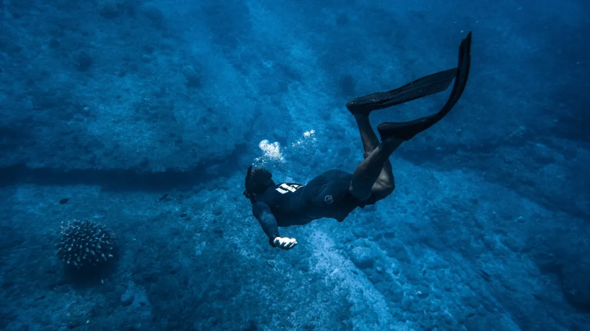 مهرجان موسيقي بقاع المحيط لحماية الشعاب المرجانية