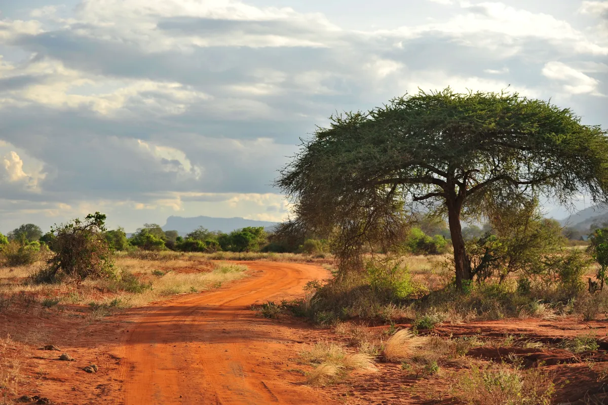 رحلة سياحية إلى أفريقيا