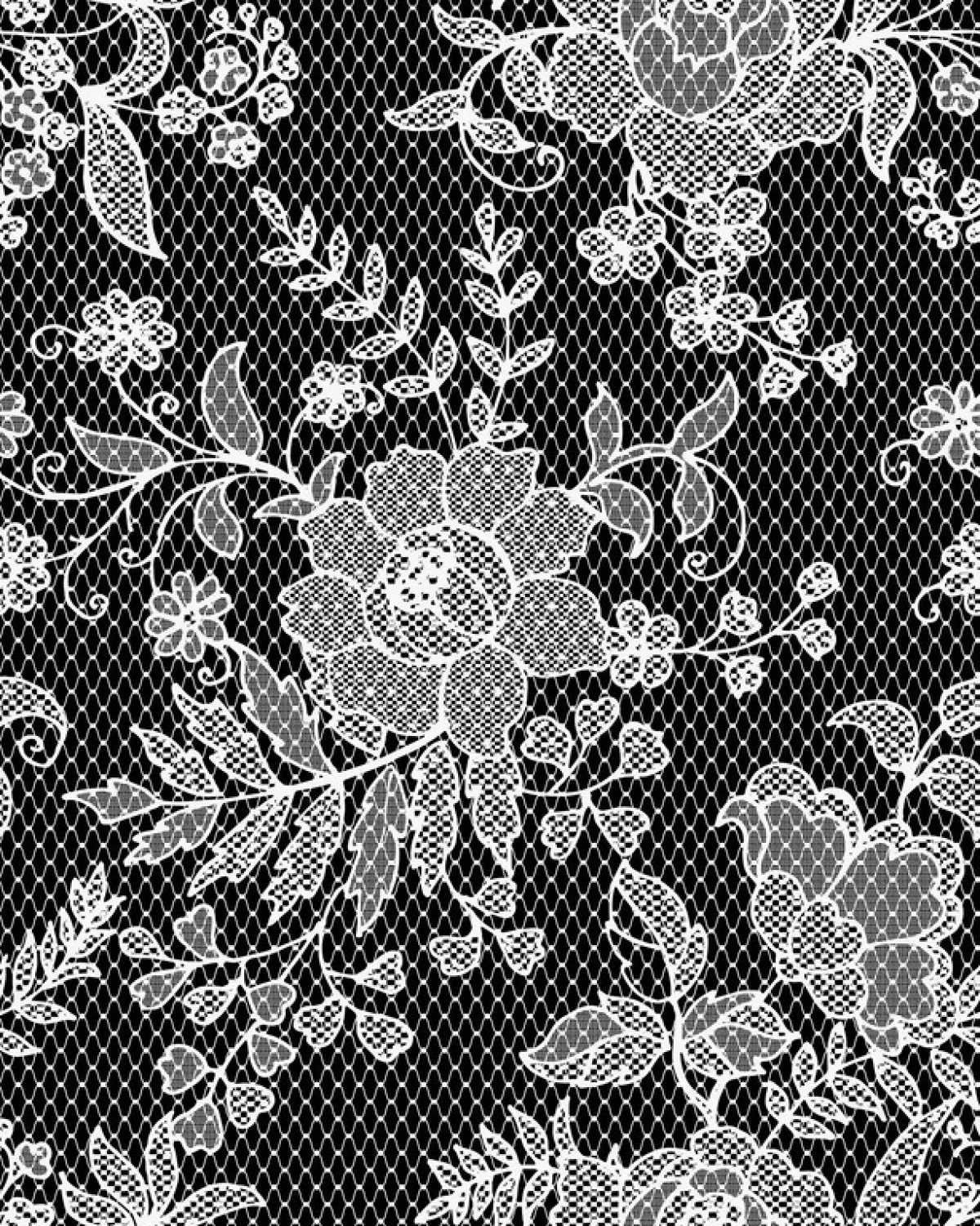 خامة  الدانتيل