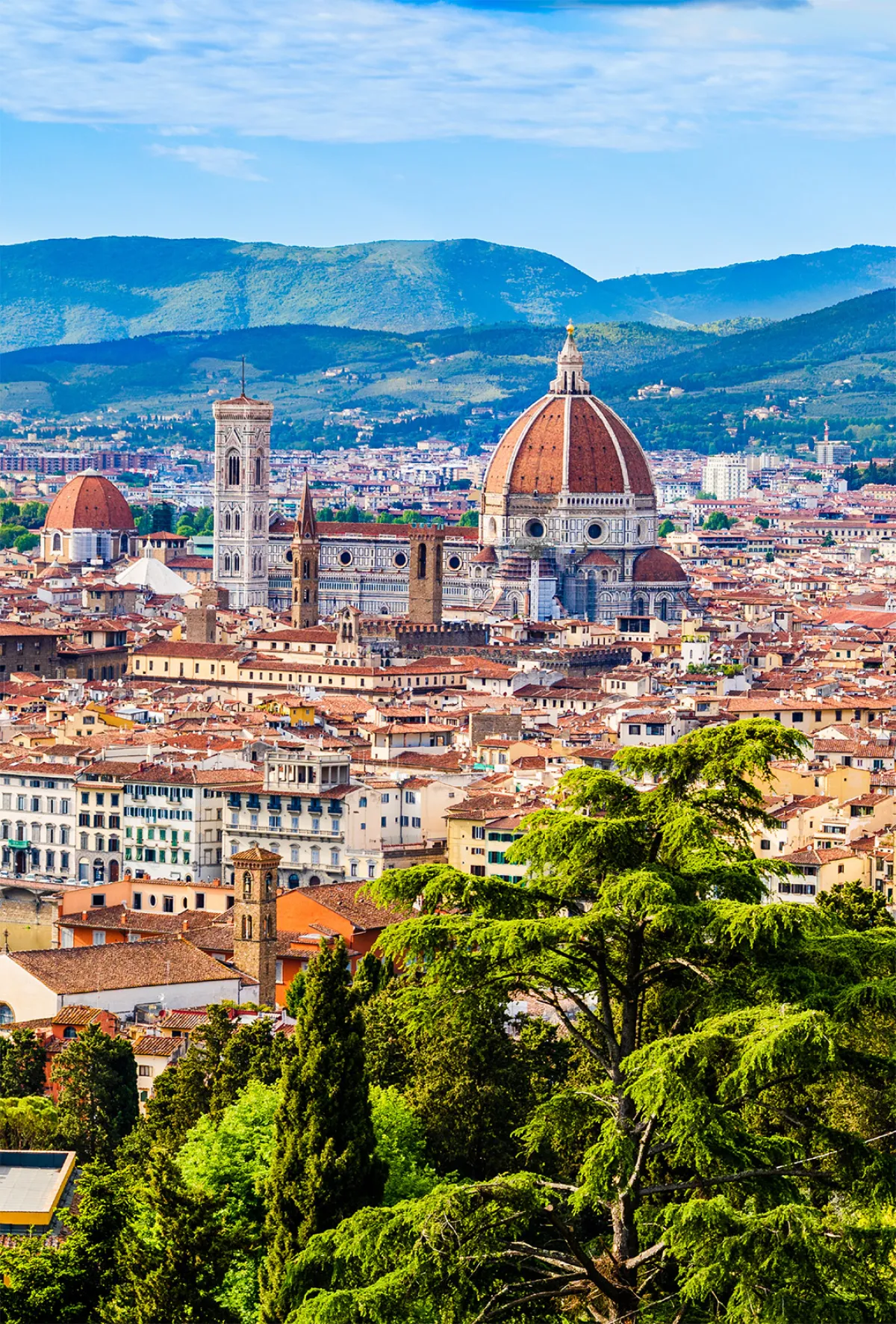 «فلورنسا»