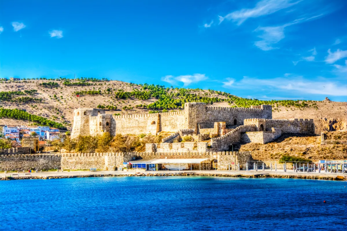 جزيرة بوزكادا 