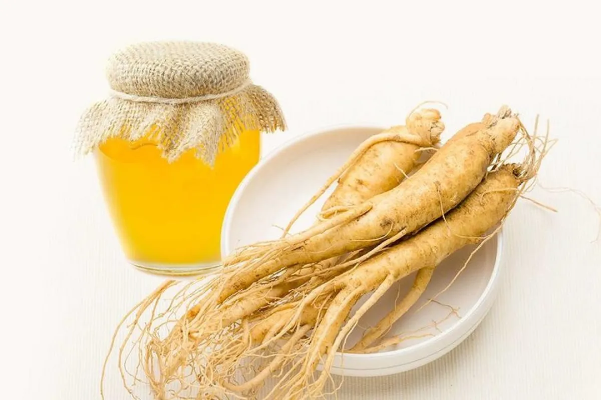 صورة لنبات الجنسنج