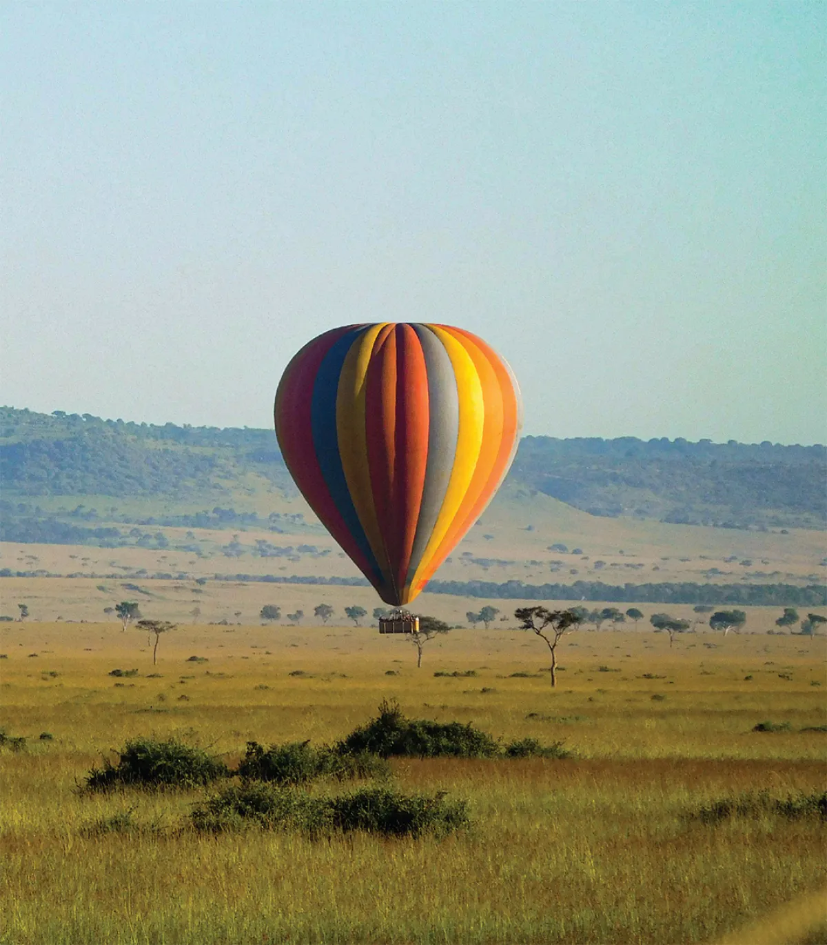 محمية «ماساي مارا» الوطنية في كينيا (الصور من Shutterstock)