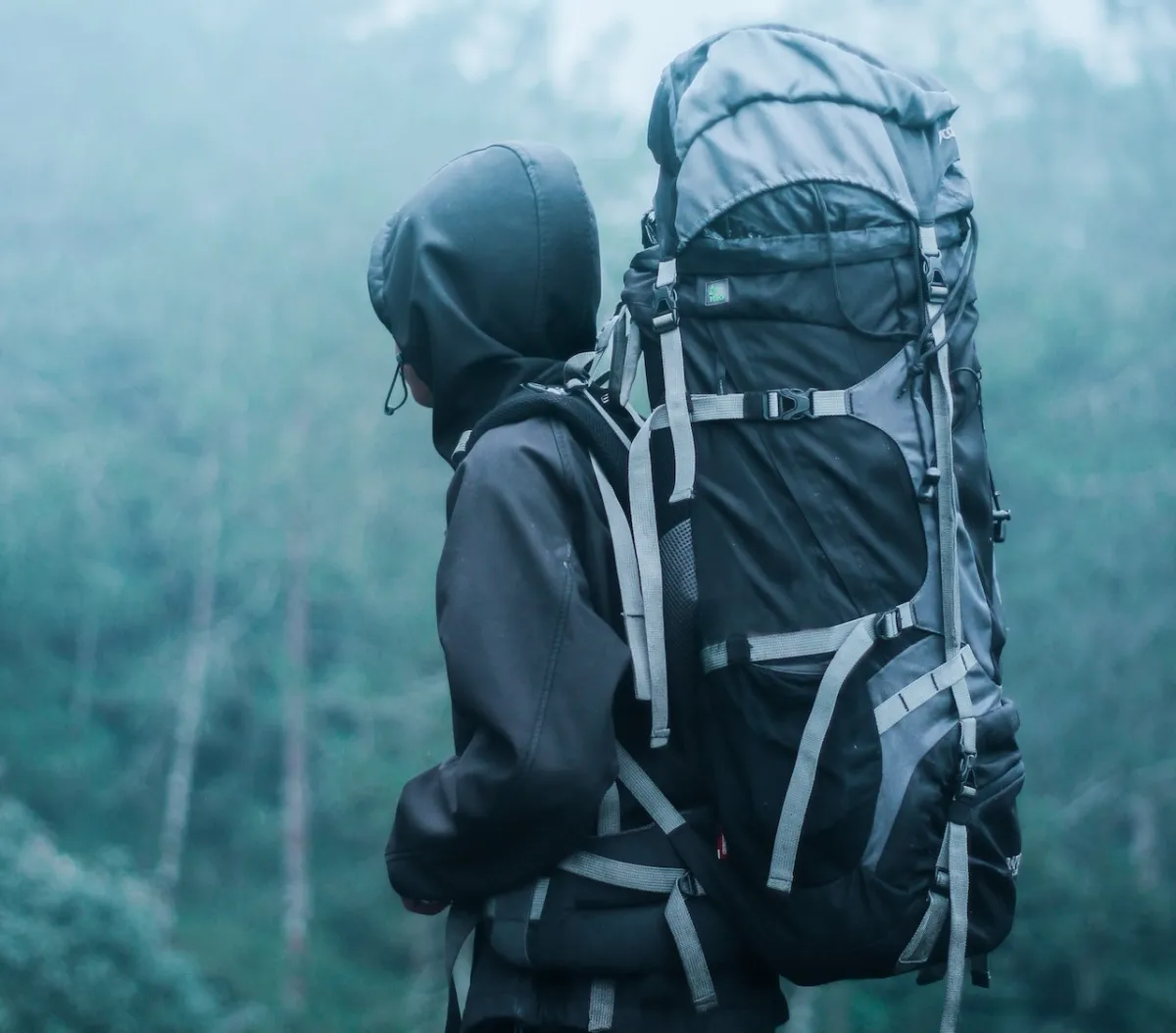 صورة عائد من السفر