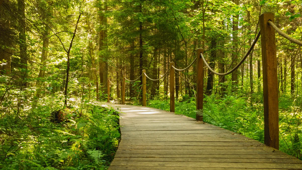 زيارة المتنزهات الطبيعية خلال العطلات الأسبوعية