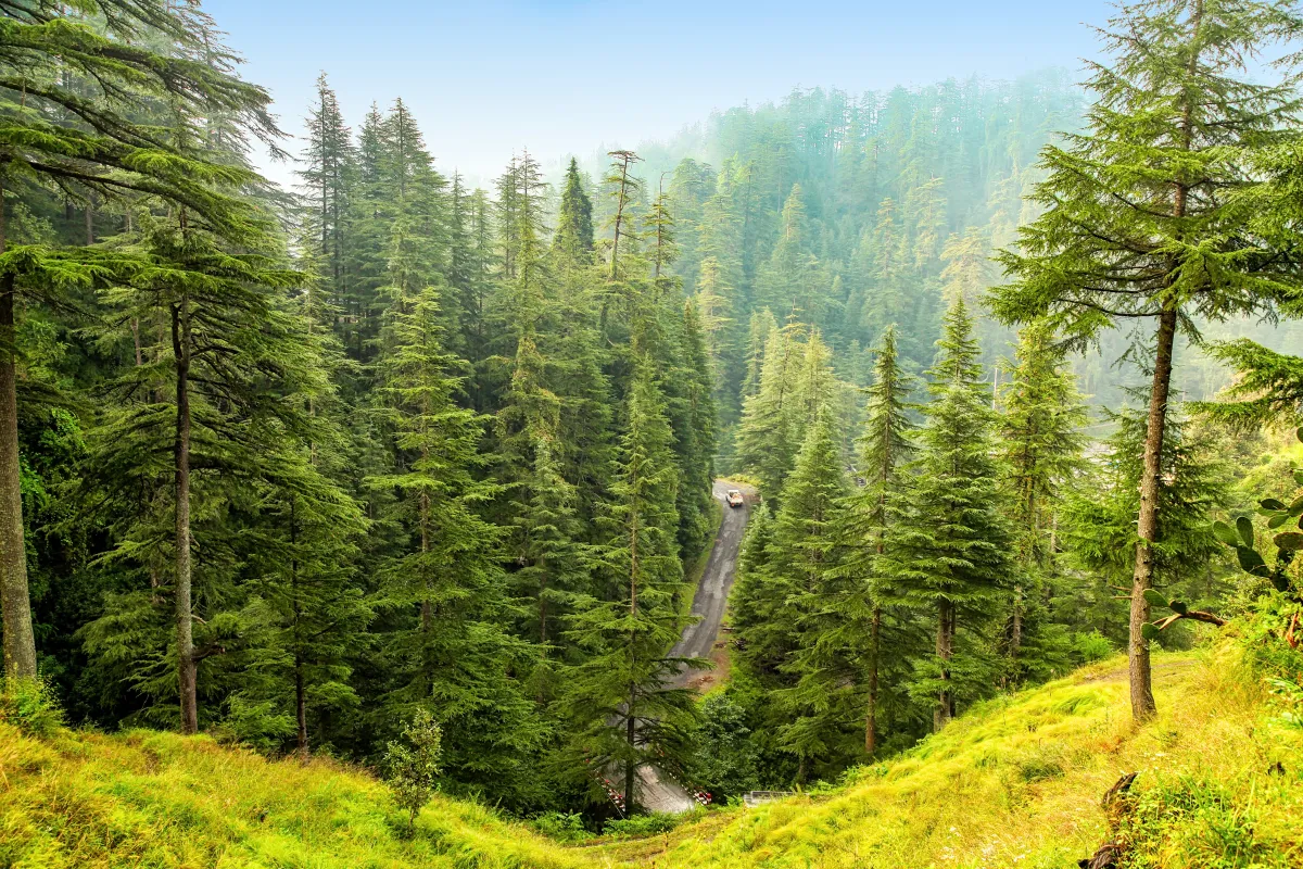 الاستمتاع بالمناظر الطبيعية في المتنزهات 