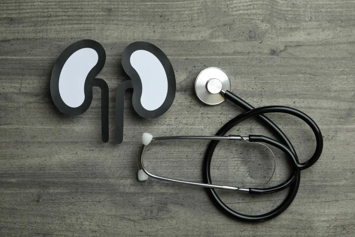 صورة تشير لتضرر الكلى من زيادة الكالسيوم