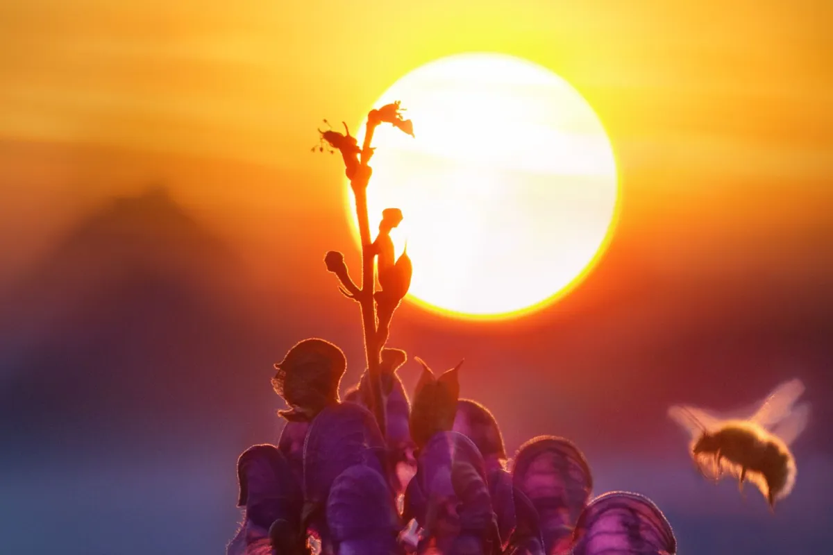 أكثر مكان مشمس في الأرض