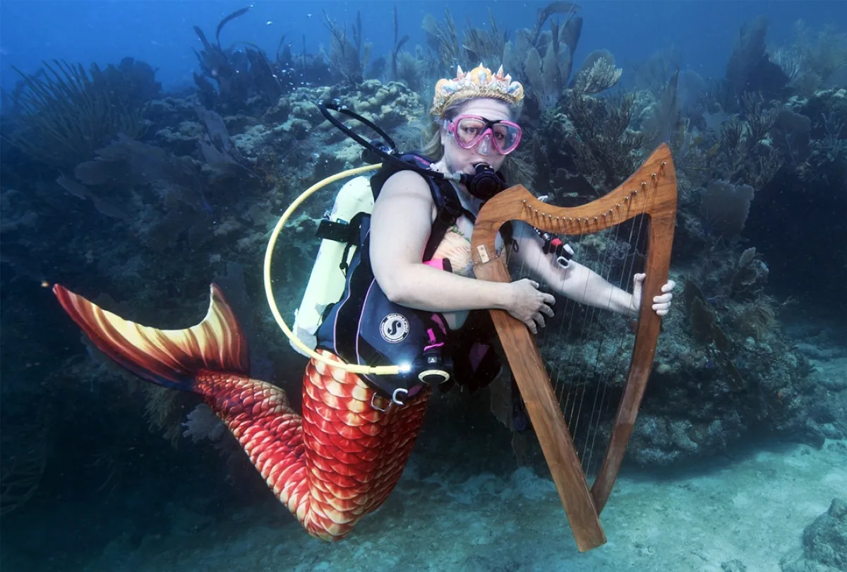  الحفل الموسيقي تحت الماء في  فلوريدا  ،July 8, 2023, Underwater Music Festival in the Florida  (مصدر الصورة :AFP PHOTO / Frazier Nivens/Florida Keys News Bureau)