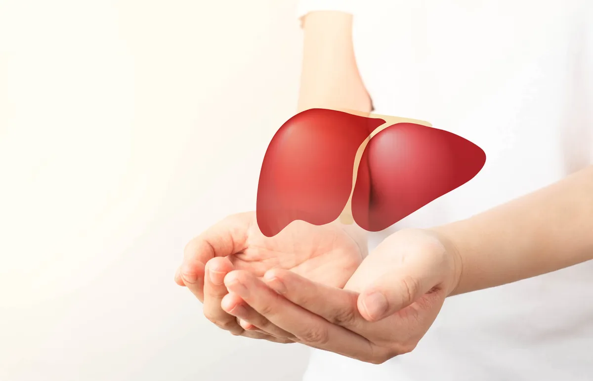 اليوم العالمي لالتهاب الكبد.. يوم التوعية بالصحة العامة - Shutterstock