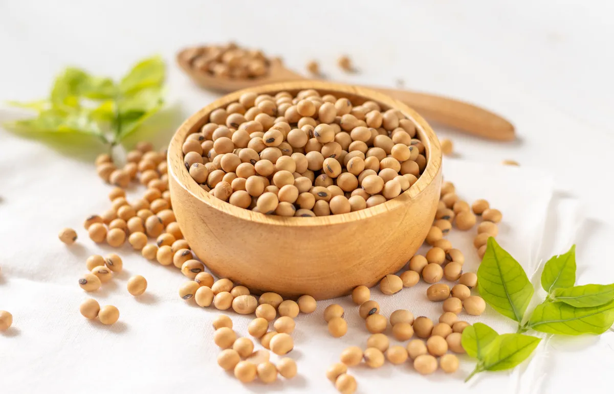 أضرار الصويا (المصدر: Shutterstock) 