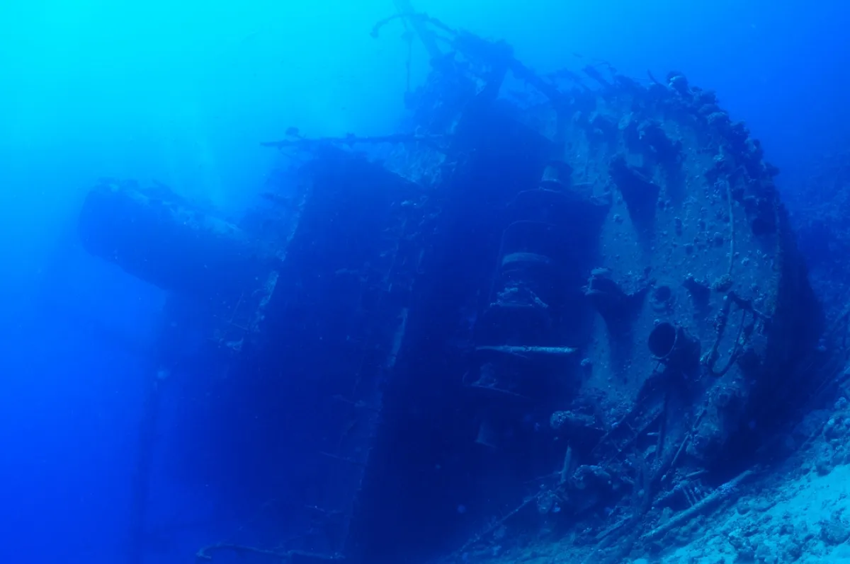  - الصورة من  shutterstock