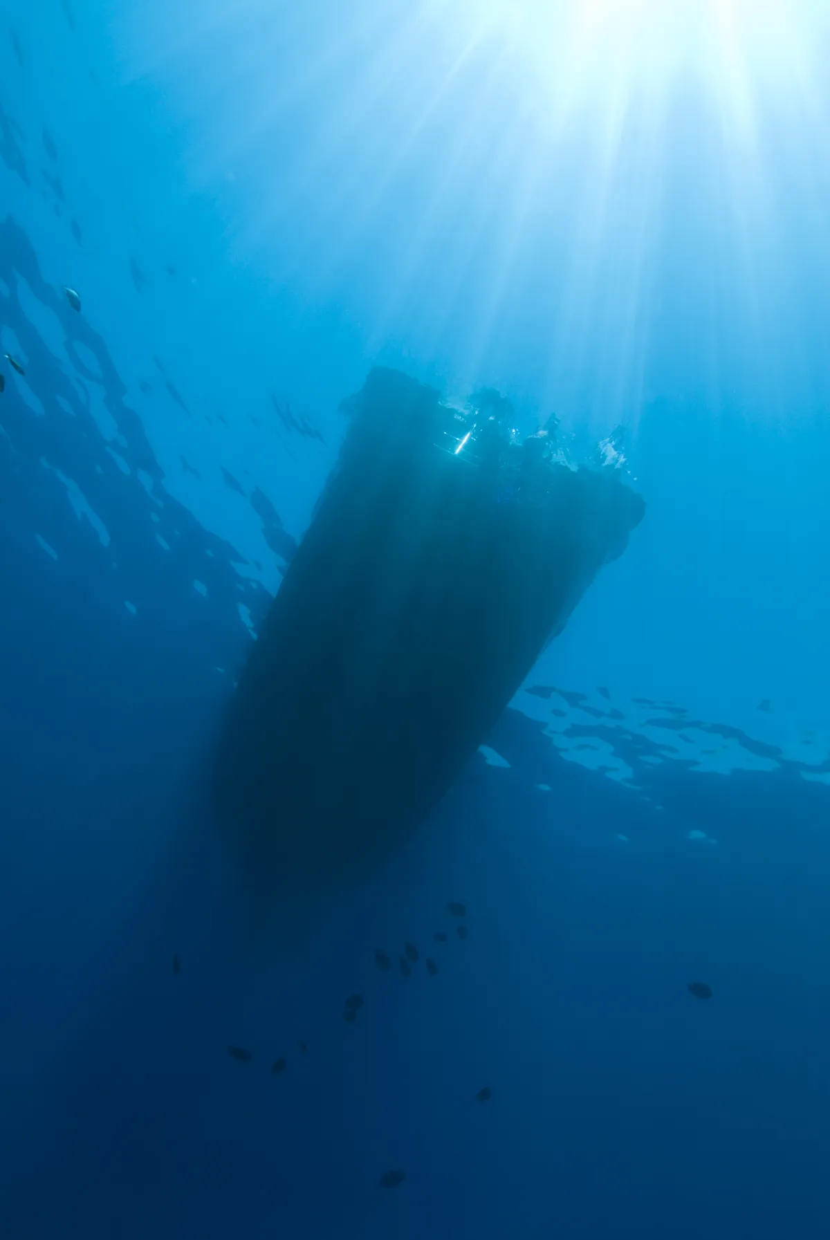 سفينة غارقة - الصورة من  shutterstock