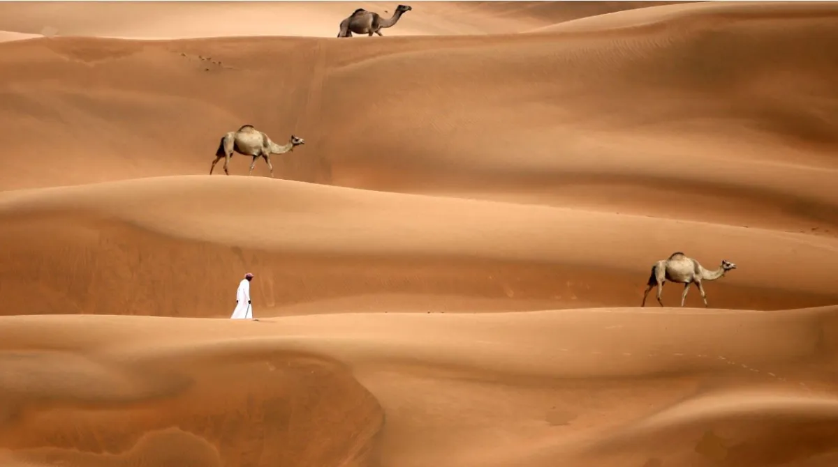 انطلاق مهرجان الظفرة 21 أكتوبر المقبل لعام 2023 - الصورة من مكتب أبوظبي الإعلامي