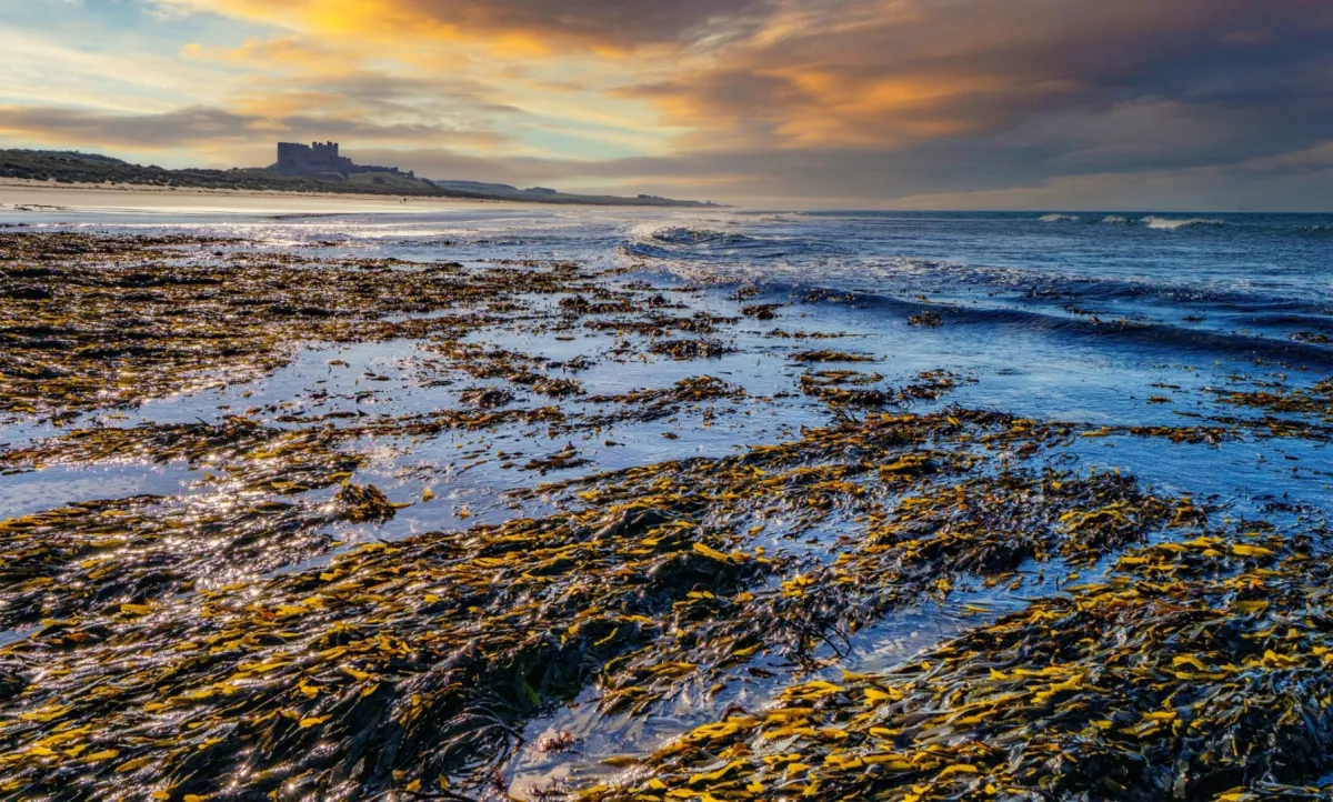 تيارات المحيطات مهددة بالانهيار الذي "سيؤثر على كل شخص على هذا الكوكب''