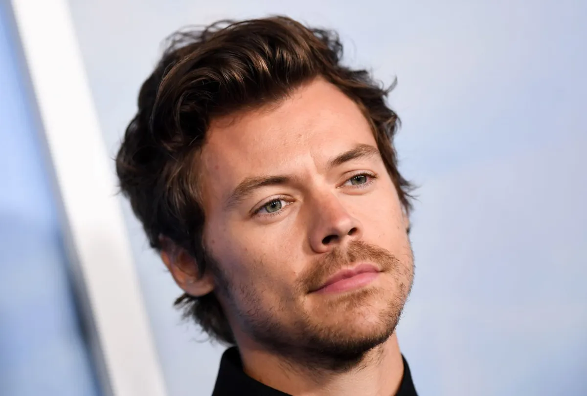 هاري ستايلز (Harry Styles). مصدر الصورة:  VALERIE MACON / AFP