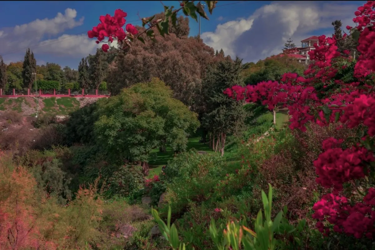 الطبيعة الخلابة في أبها