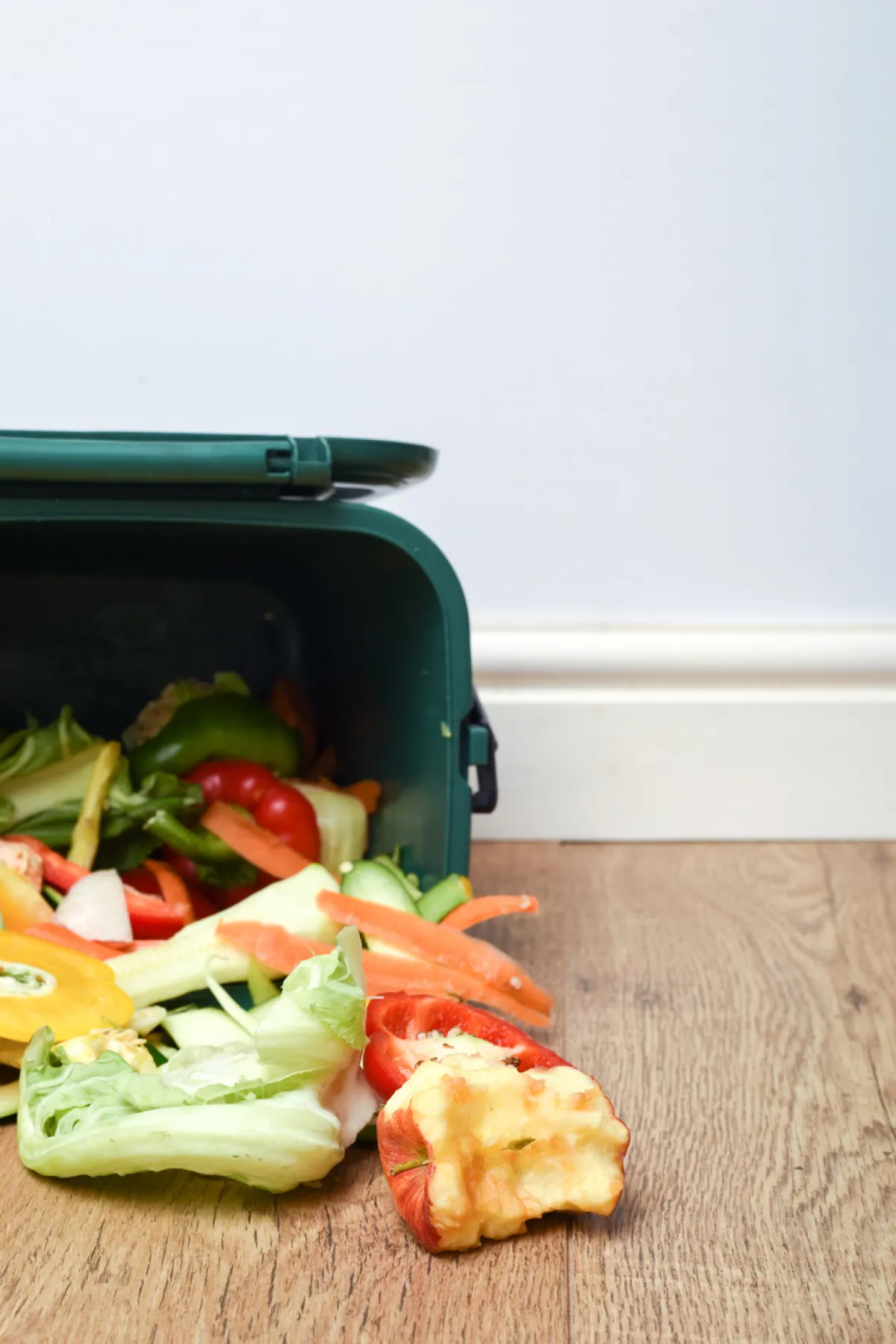 صورة هدر فضلات الطعام الصورة من stockadobe