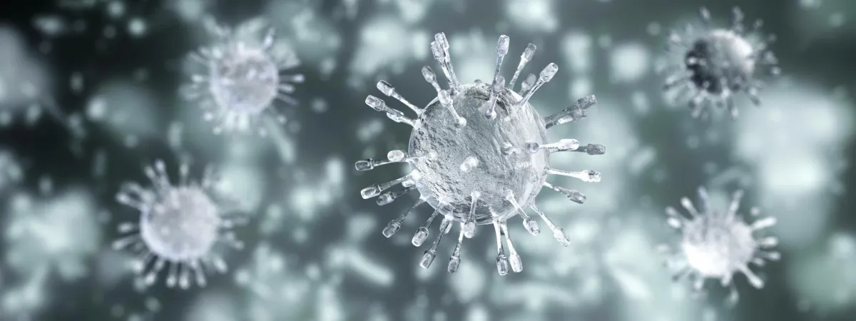 صورة لبعض الفيروسات تحت المجهر