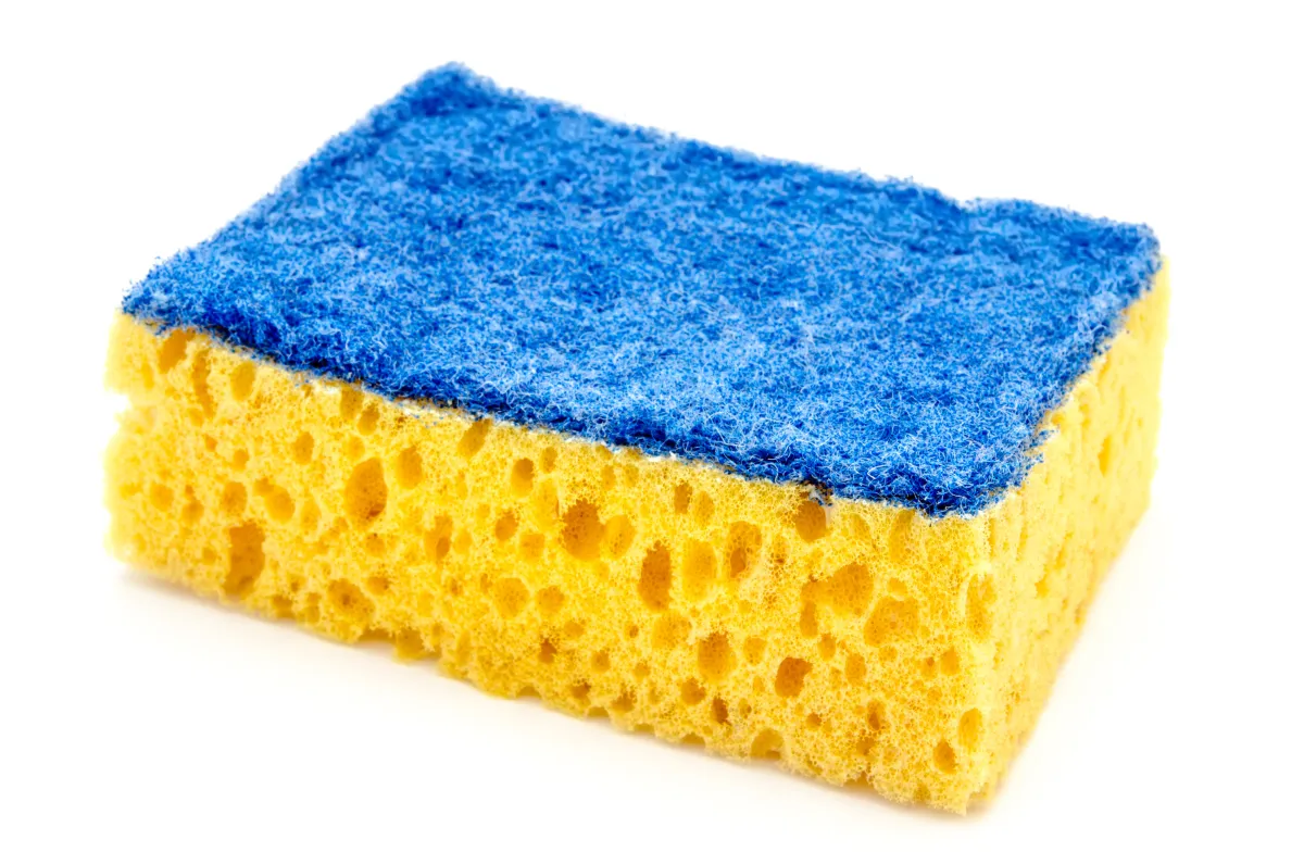 الطريقة الصحيحة لتنظيف الإسفنجة